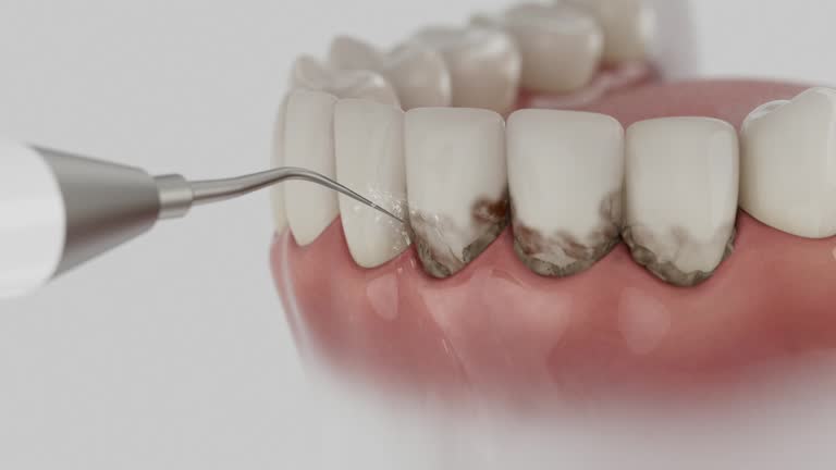 Reliable Dental contractor in Burnham, IL by Dentist Open Now